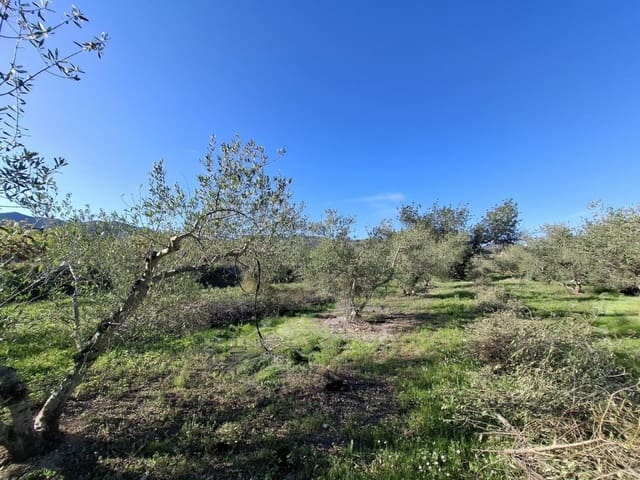 Terrain à Bâtir à vendre à Aielo de Malferit - 95 000 € (Ref: 9701508)