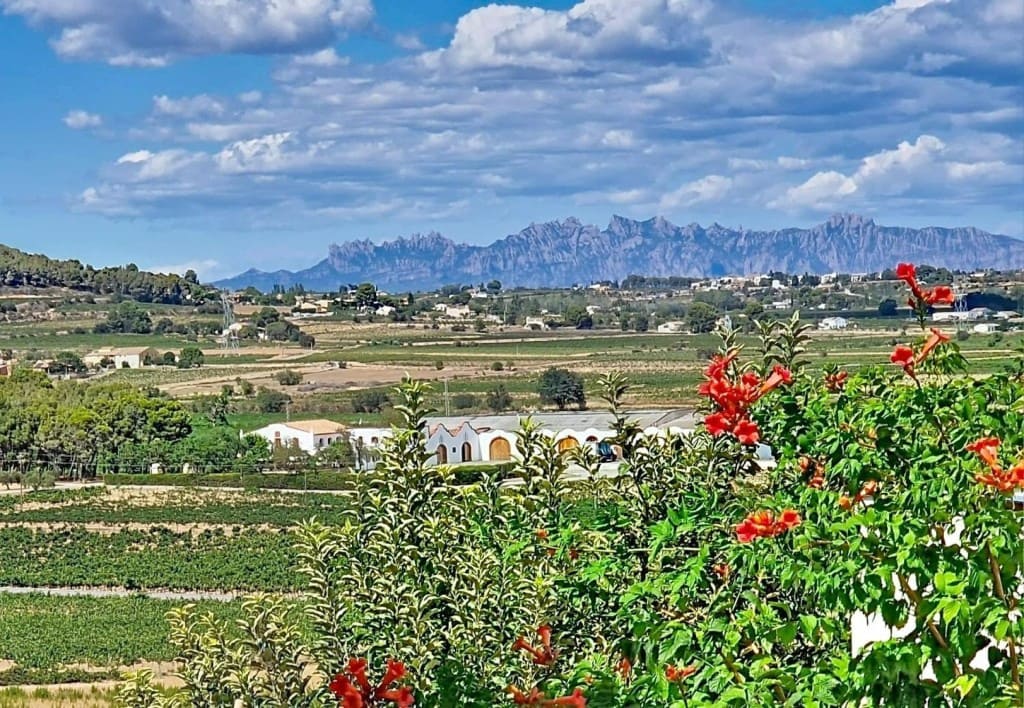 5 bedroom Villa for sale in Pacs del Penedes with pool garage - € 450,000 (Ref: 9719801)