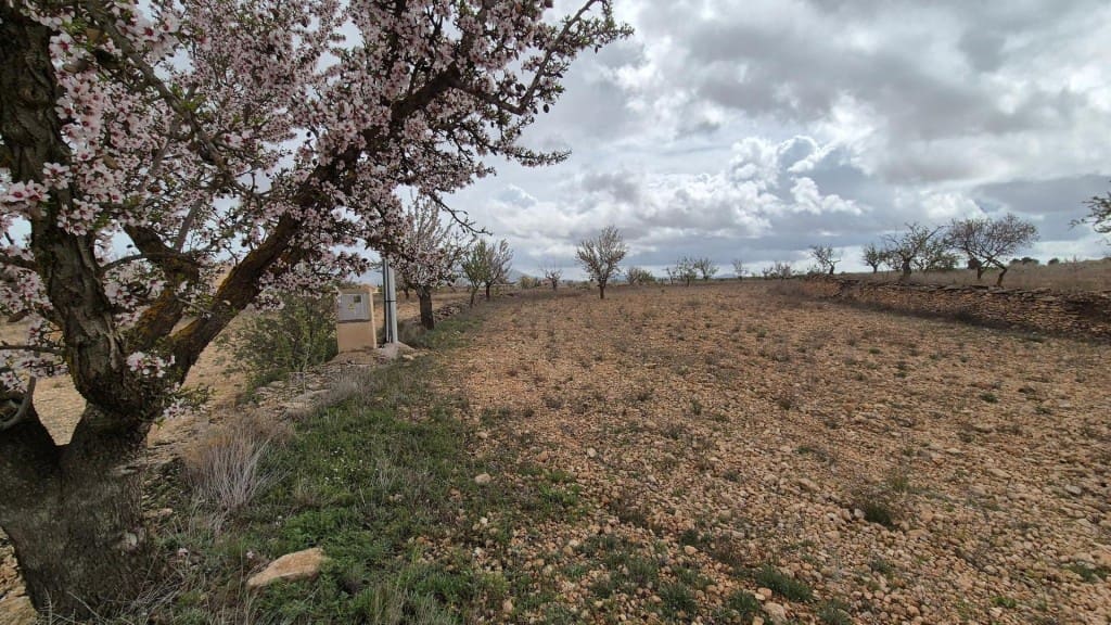 Building Plot for sale in Pinoso - € 62,900 (Ref: 9721549)