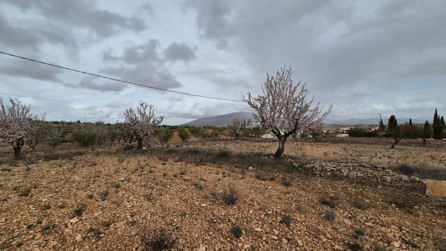 Solar/Parcela en Pinoso en venta - 62.900 € (Ref: 9721549)