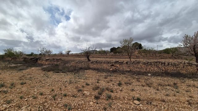 Solar/Parcela en Pinoso en venta - 62.900 € (Ref: 9721549)