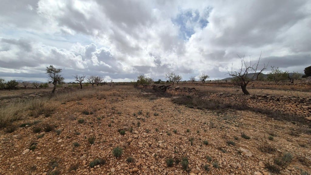 Building Plot for sale in Pinoso - € 62,900 (Ref: 9721549)