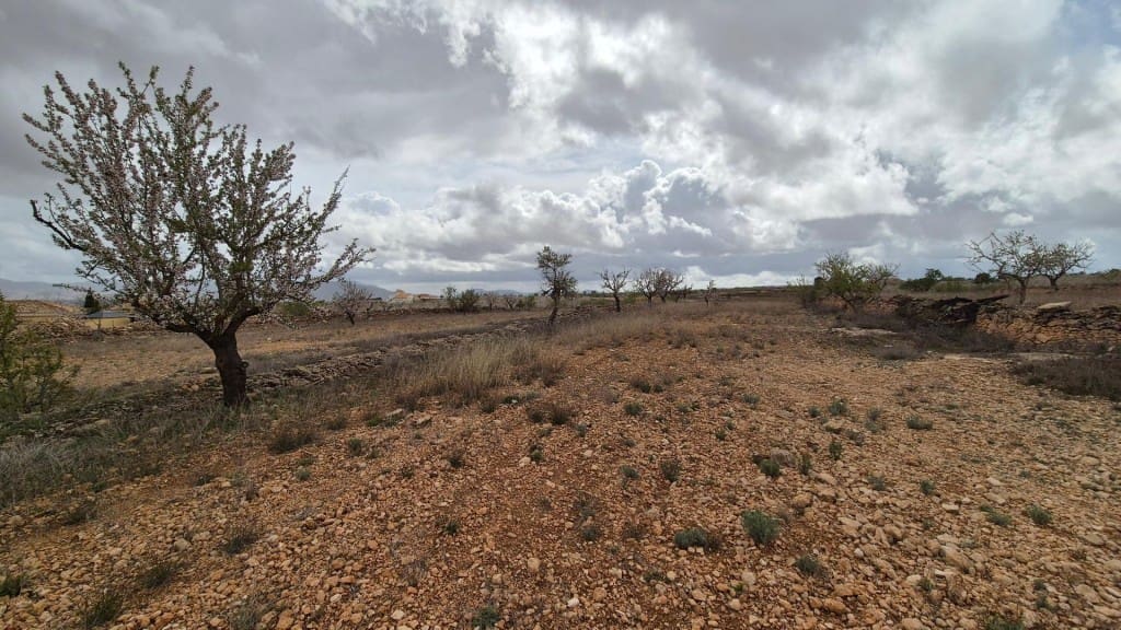 Building Plot for sale in Pinoso - € 62,900 (Ref: 9721549)