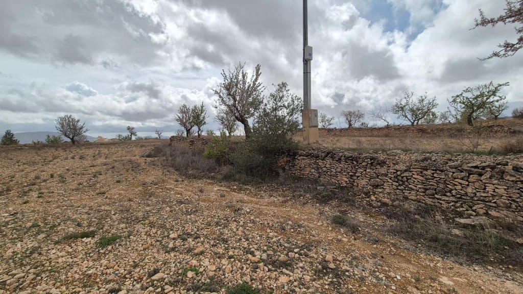 Building Plot for sale in Pinoso - € 62,900 (Ref: 9721549)