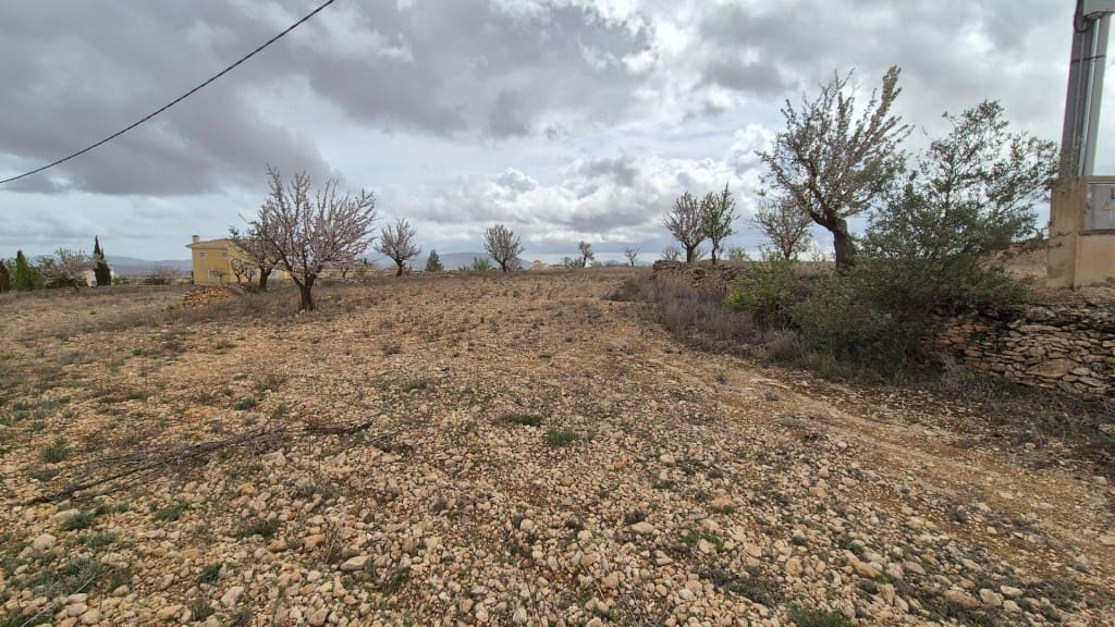 Building Plot for sale in Pinoso - € 62,900 (Ref: 9721549)