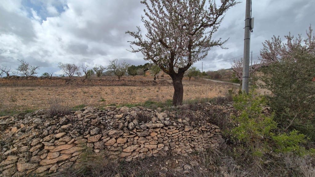 Building Plot for sale in Pinoso - € 62,900 (Ref: 9721549)