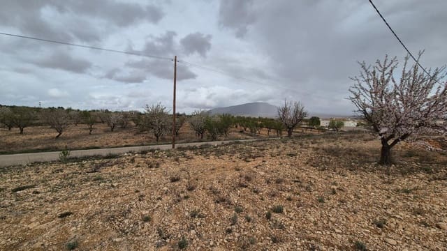 Solar/Parcela en Pinoso en venta - 62.900 € (Ref: 9721549)