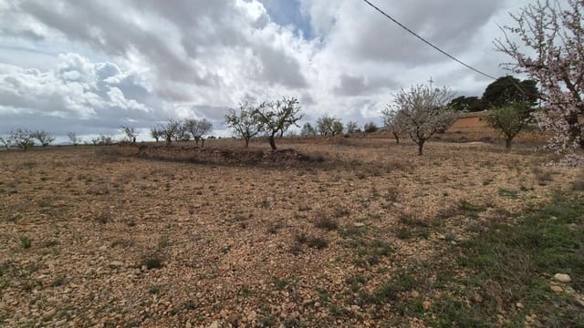 Solar/Parcela en Pinoso en venta - 62.900 € (Ref: 9721549)