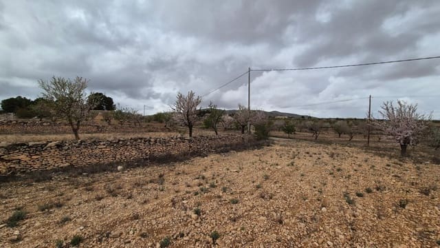 Solar/Parcela en Pinoso en venta - 62.900 € (Ref: 9721549)