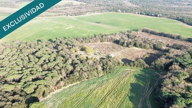 2 sovrum Finca/Hus på landet till salu i Vilobí d'Onyar med pool - 200 000 € (Ref: 9735450)