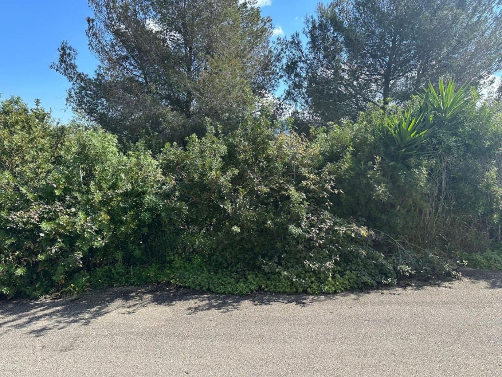 Building Plot for sale in Pego - € 105,000 (Ref: 9735457)