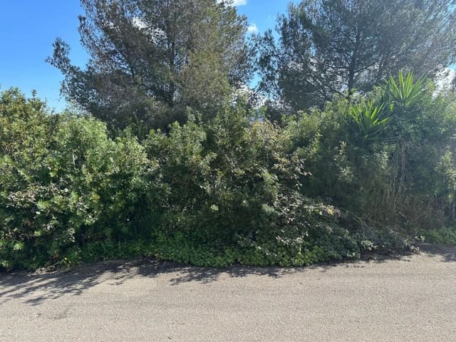 Bouwgrond te koop in Pego - € 105.000 (Ref: 9735457)