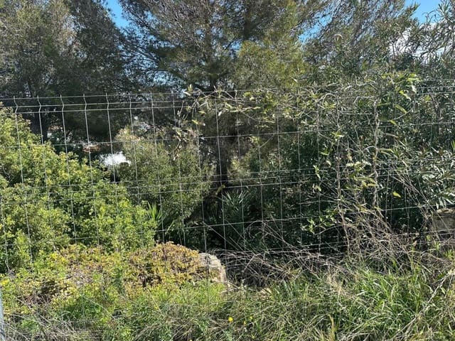 Bouwgrond te koop in Pego - € 105.000 (Ref: 9735457)