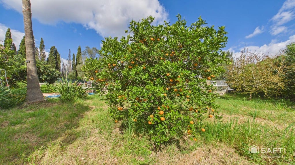 1 bedroom Finca/Country House for rent in Sencelles - € 1,500 (Ref: 9741649)