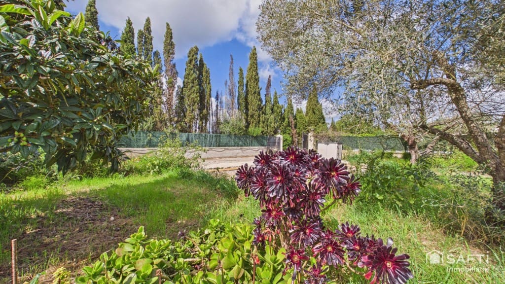 1 bedroom Finca/Country House for rent in Sencelles - € 1,500 (Ref: 9741649)