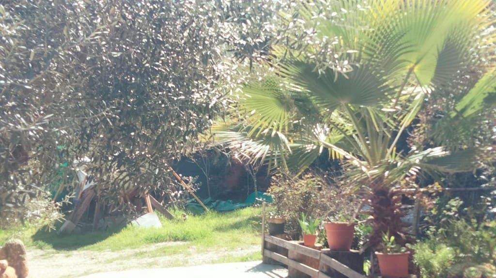 6 sovrum Villa till salu i Piera - 264 000 € (Ref: 9755533)