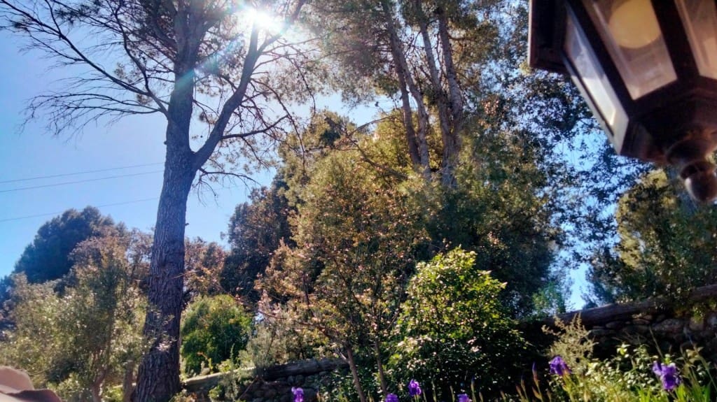 6 sovrum Villa till salu i Piera - 264 000 € (Ref: 9755533)