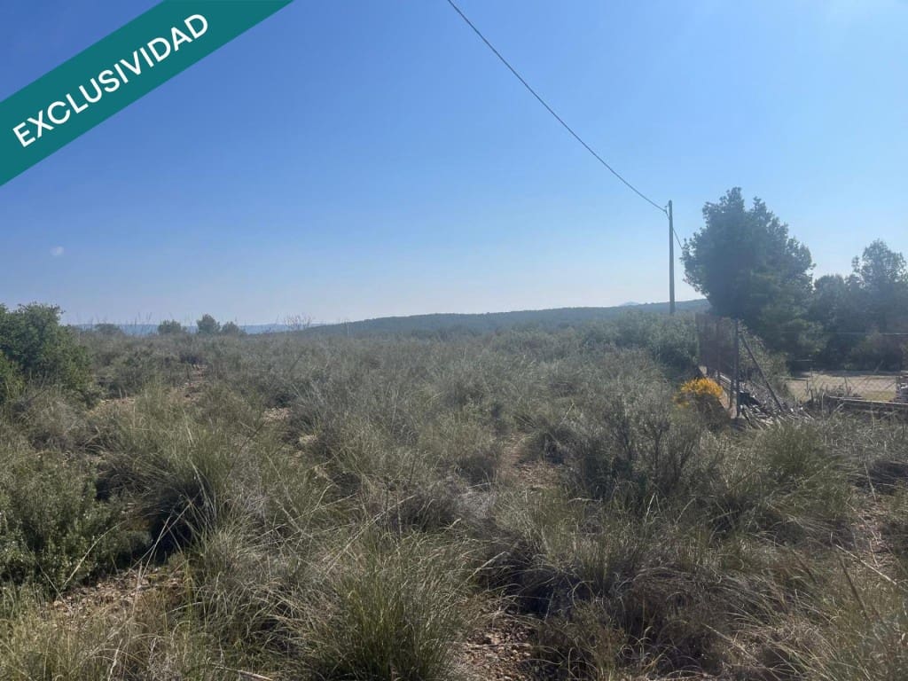 Grunde uden byggetilladelser til salg i Almansa - € 9.000 (Ref: 9755547)