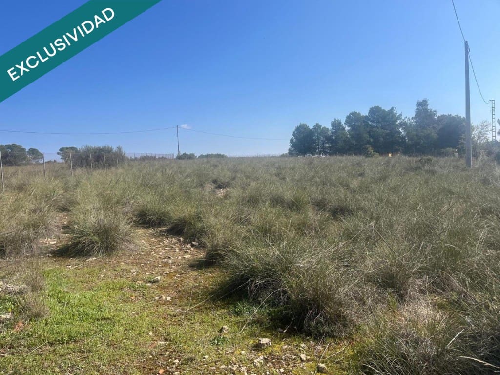Grunde uden byggetilladelser til salg i Almansa - € 9.000 (Ref: 9755547)