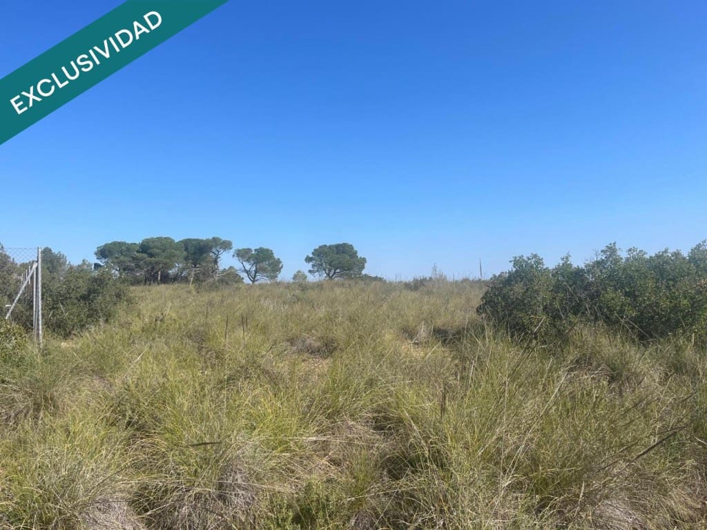 Grunde uden byggetilladelser til salg i Almansa - € 9.000 (Ref: 9755547)
