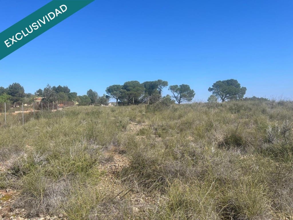 Grunde uden byggetilladelser til salg i Almansa - € 9.000 (Ref: 9755547)
