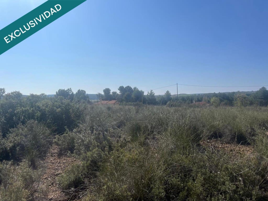 Grunde uden byggetilladelser til salg i Almansa - € 9.000 (Ref: 9755547)