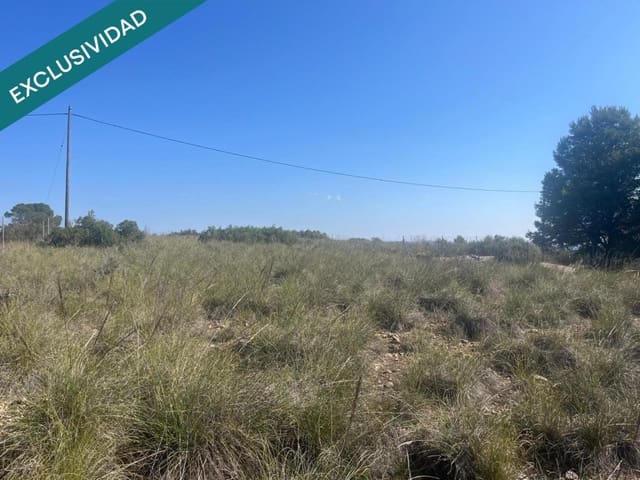 Grunde uden byggetilladelser til salg i Almansa - € 9.000 (Ref: 9755547)