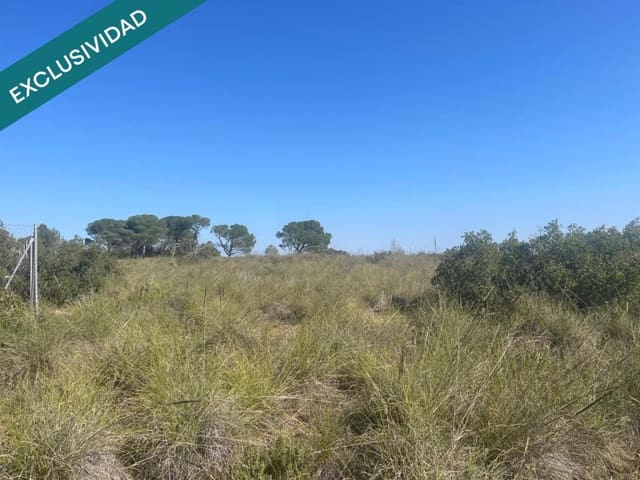 Grunde uden byggetilladelser til salg i Almansa - € 9.000 (Ref: 9755547)