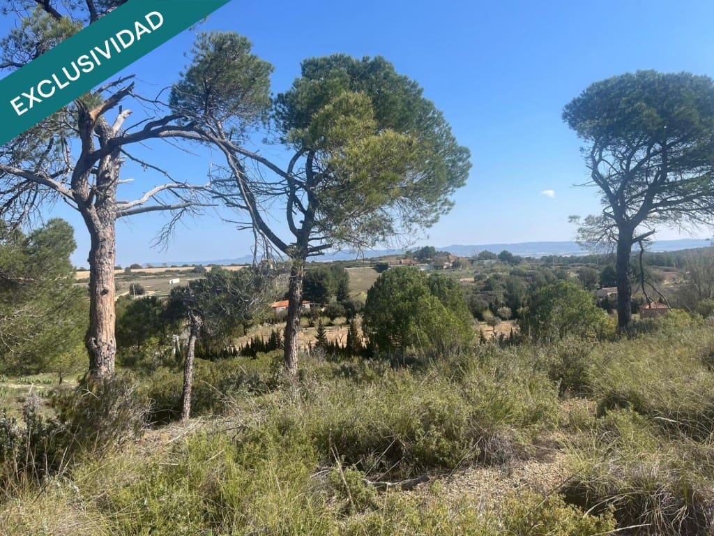 Grunde uden byggetilladelser til salg i Almansa - € 9.000 (Ref: 9755547)