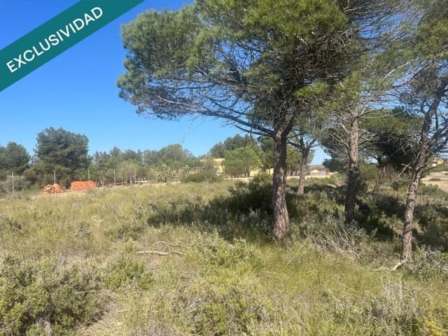 Grunde uden byggetilladelser til salg i Almansa - € 9.000 (Ref: 9755547)