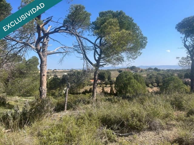 Ubebygd land til salgs i Almansa - € 9 000 (Ref: 9755547)