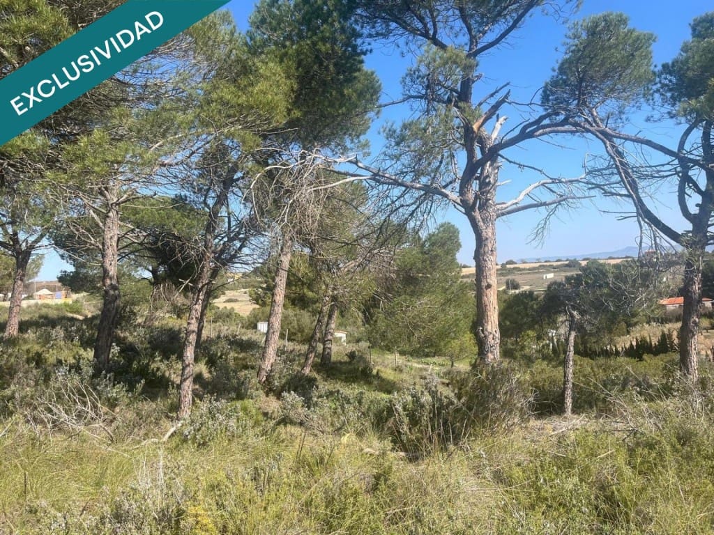 Grunde uden byggetilladelser til salg i Almansa - € 9.000 (Ref: 9755547)