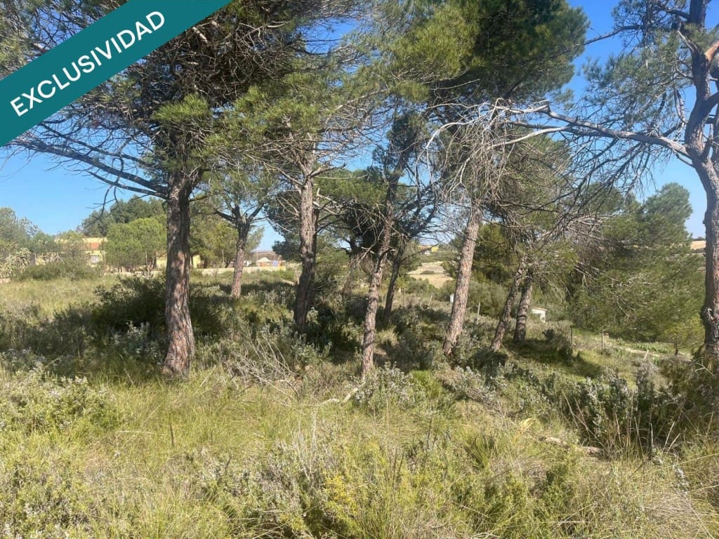 Grunde uden byggetilladelser til salg i Almansa - € 9.000 (Ref: 9755547)