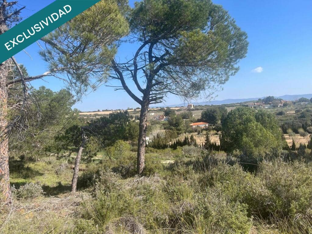 Undeveloped Land for sale in Almansa - € 8,000 (Ref: 9755547)