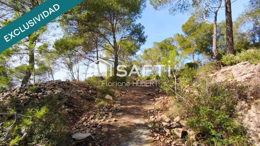 Byggegrund til salg i Cervello - € 161.500 (Ref: 9770555)