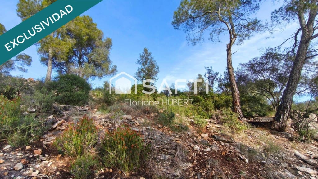 Byggegrund til salg i Cervello - € 161.500 (Ref: 9770555)