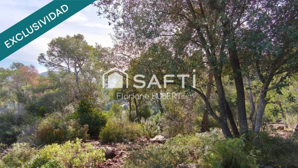 Byggegrund til salg i Cervello - € 161.500 (Ref: 9770555)