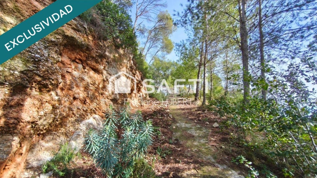 Byggegrund til salg i Cervello - € 161.500 (Ref: 9770555)