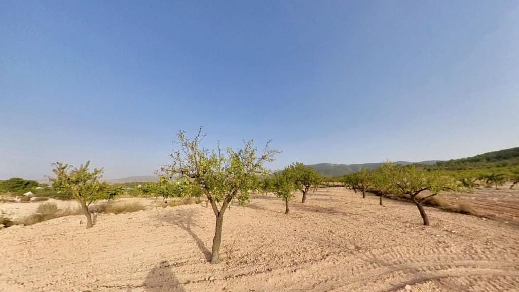 Ubebygd land til salgs i Monovar / Monover - € 70 000 (Ref: 9770556)