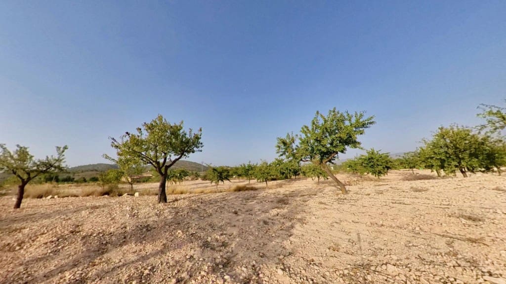 Ubebygd land til salgs i Monovar / Monover - € 70 000 (Ref: 9770556)