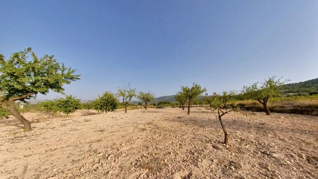 Ubebygd land til salgs i Monovar / Monover - € 70 000 (Ref: 9770556)