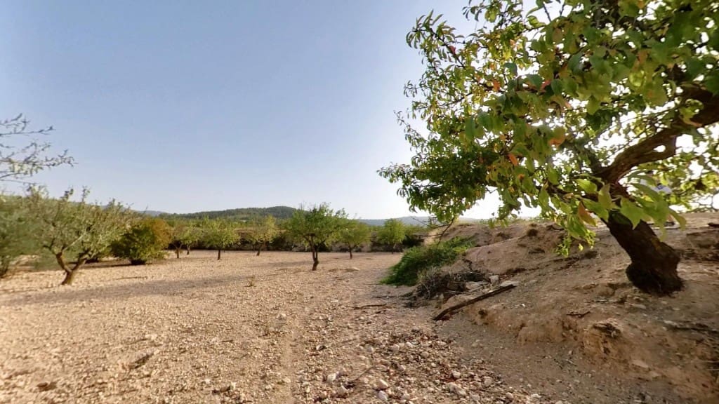 Ubebygd land til salgs i Monovar / Monover - € 70 000 (Ref: 9770556)