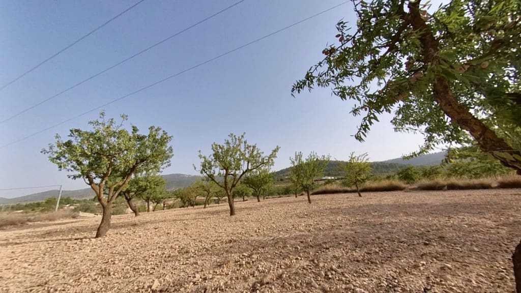 Ubebygd land til salgs i Monovar / Monover - € 70 000 (Ref: 9770556)