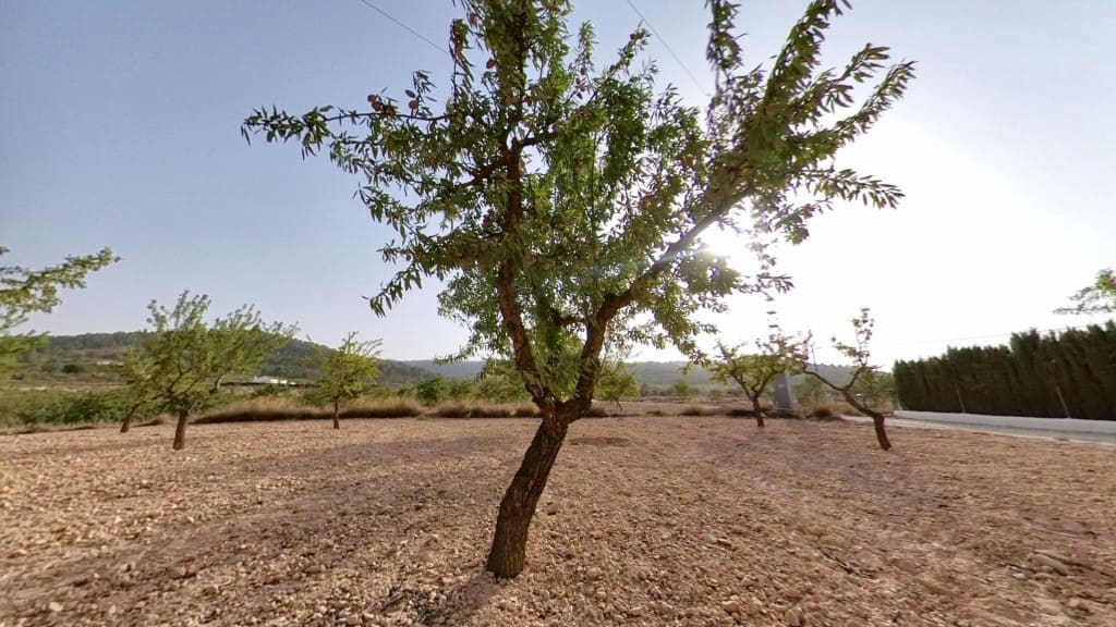 Ubebygd land til salgs i Monovar / Monover - € 70 000 (Ref: 9770556)