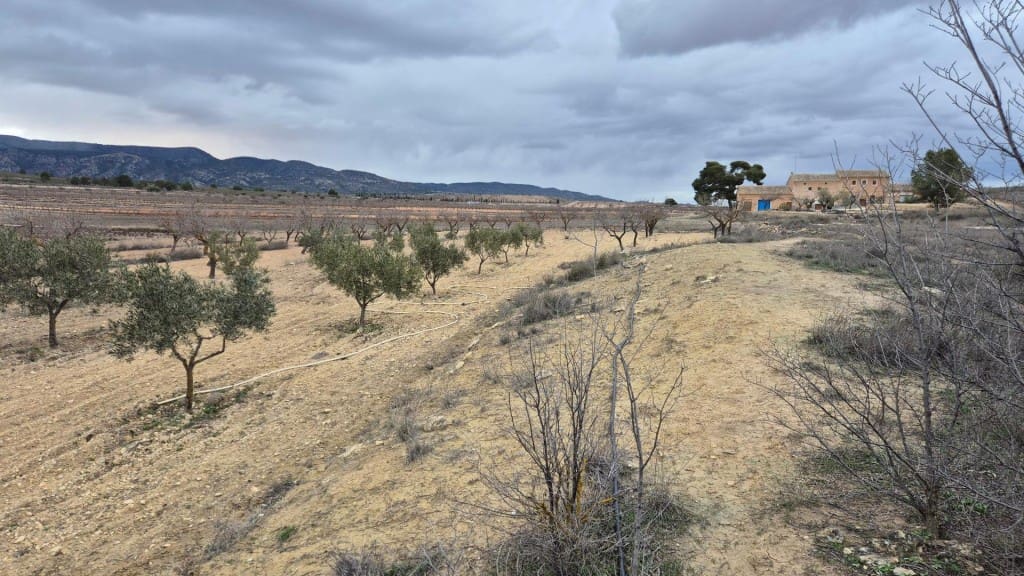 3 Zimmer Finca/Landgut zu verkaufen in Pinoso - 225.000 € (Ref: 9772894)