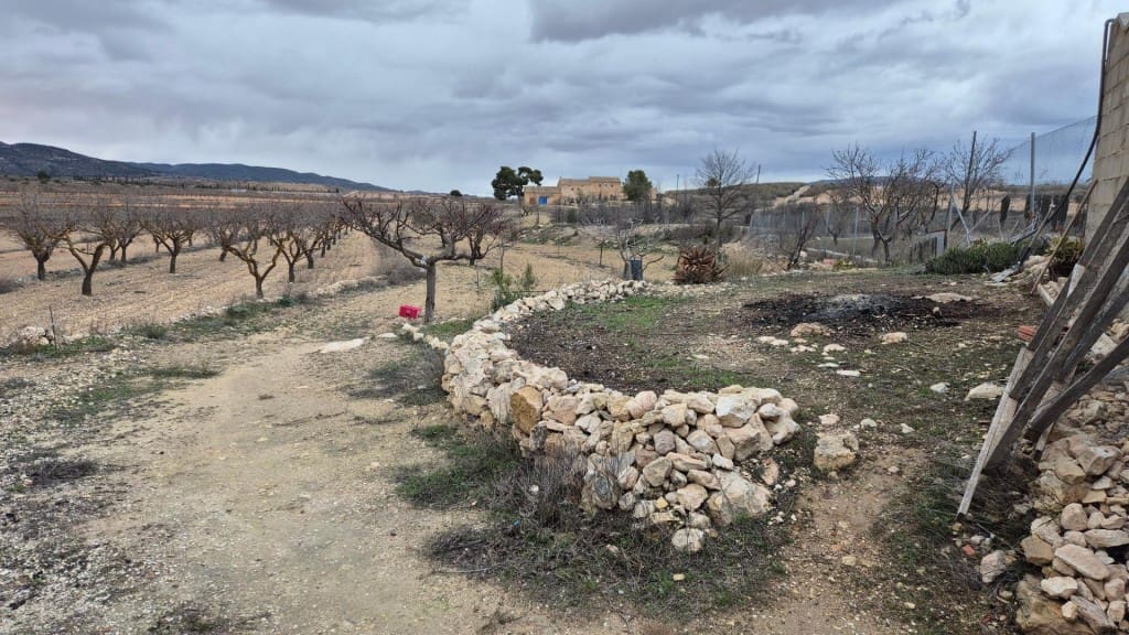 3 Zimmer Finca/Landgut zu verkaufen in Pinoso - 225.000 € (Ref: 9772894)