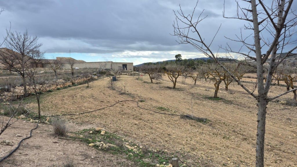 3 Zimmer Finca/Landgut zu verkaufen in Pinoso - 225.000 € (Ref: 9772894)