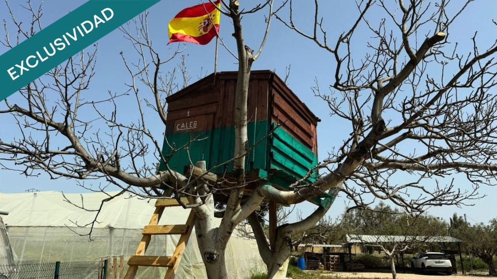 5 sypialnia Finka/Dom wiejski na sprzedaż w Onil z basenem garażem - 330 000 € (Ref: 9780431)