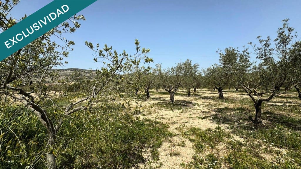 5 sypialnia Finka/Dom wiejski na sprzedaż w Onil z basenem garażem - 330 000 € (Ref: 9780431)