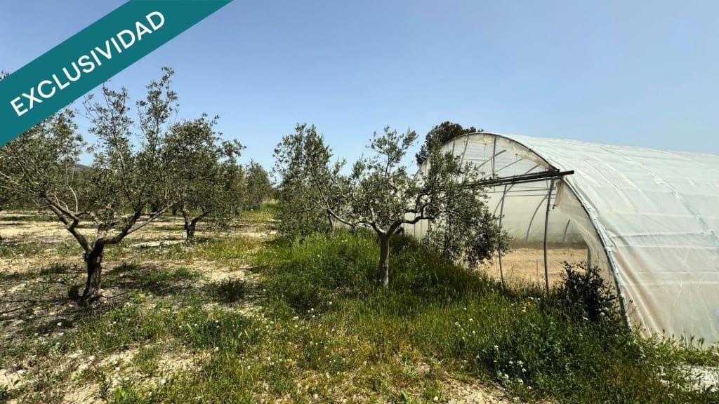 5 sypialnia Finka/Dom wiejski na sprzedaż w Onil z basenem garażem - 330 000 € (Ref: 9780431)